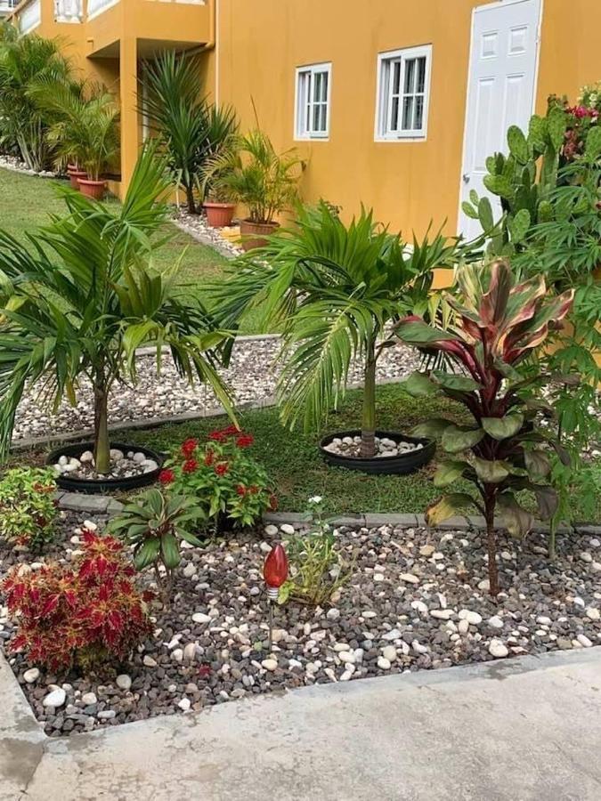 Modrians Bed & Breakfast Runaway Bay Exterior photo