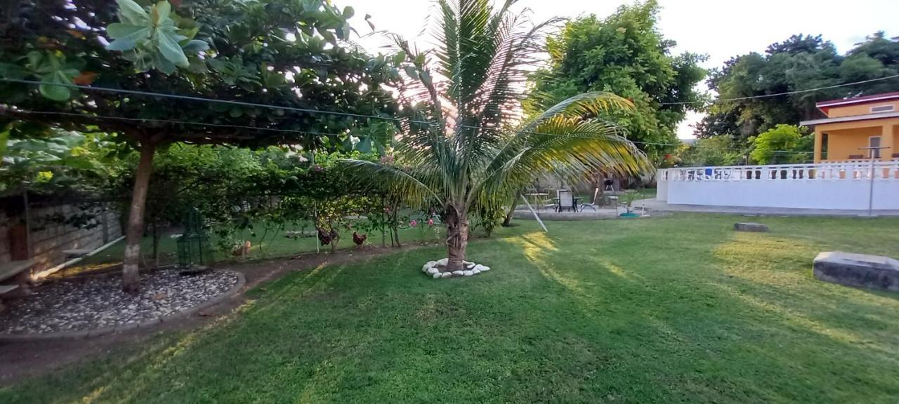 Modrians Bed & Breakfast Runaway Bay Exterior photo